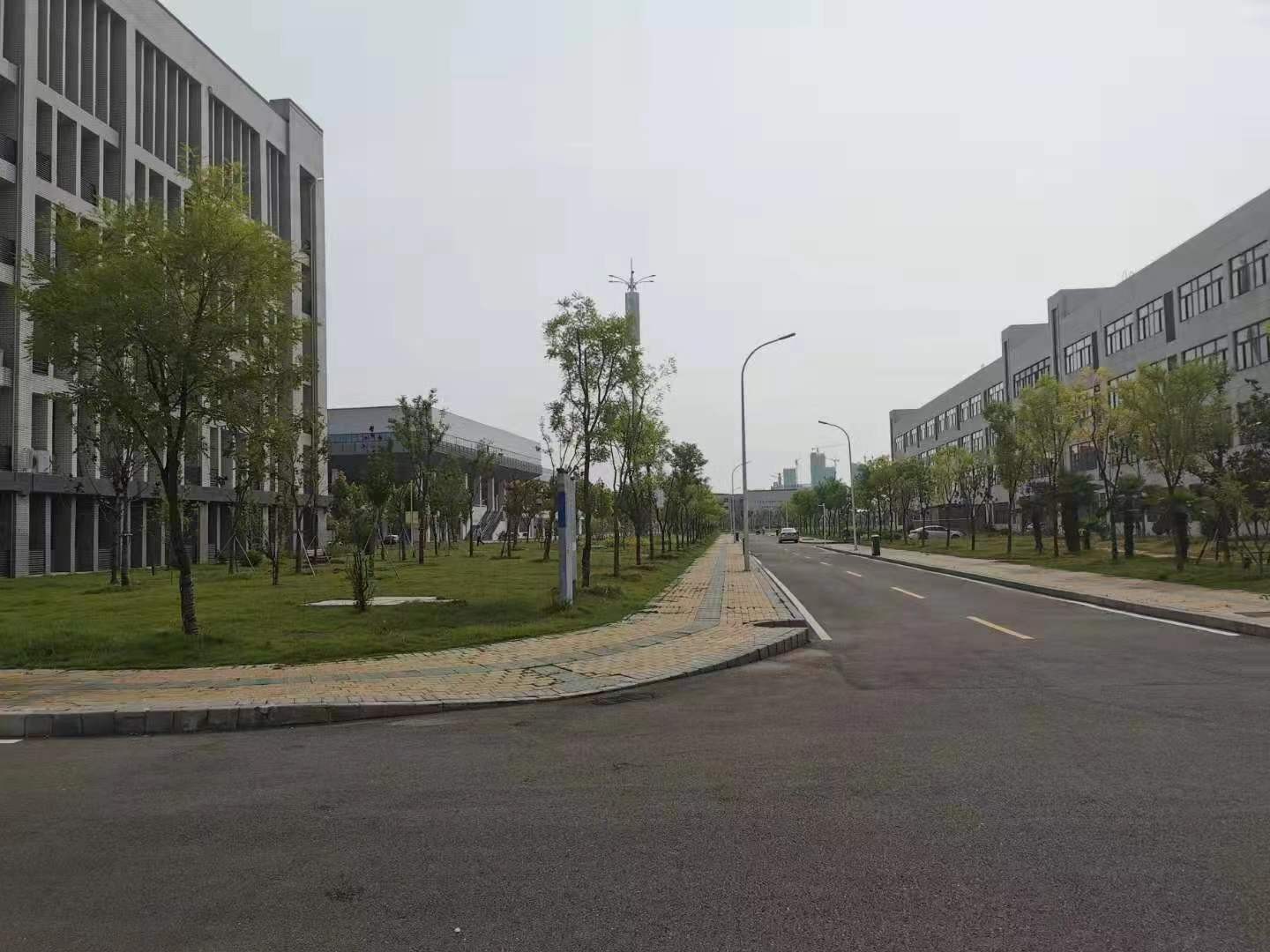 微信图片_20190806092417.jpg